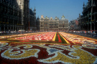 Bloementapijt op Grote Markt -  Brussel 1996