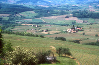 Beaujolais landschap  -  1997