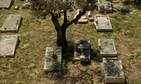 Jeruzalem, mountail of Olives